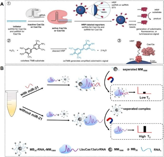 Mágneses elválasztó rendszer