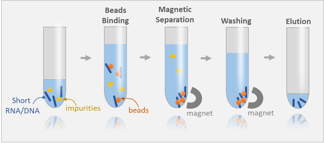 Mágneses rack RNS izoláláshoz