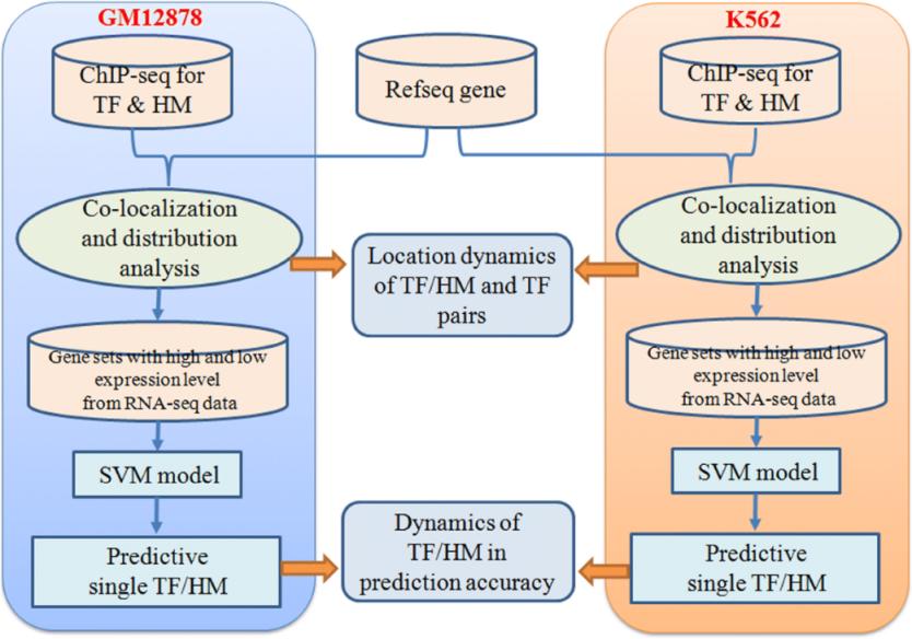 Chipszekvenálás szolgáltatások