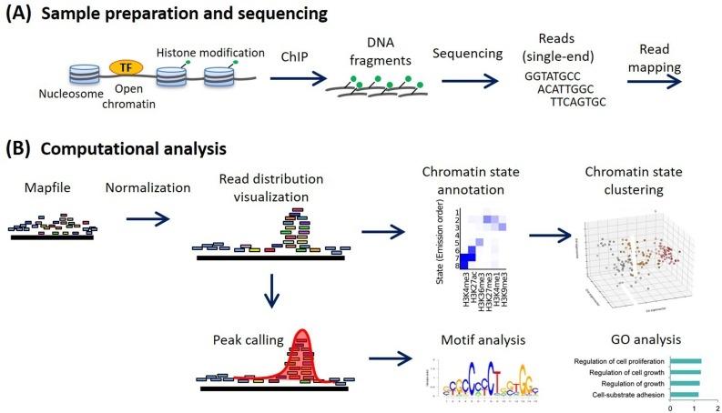 ChIP-Seq hibakeresés