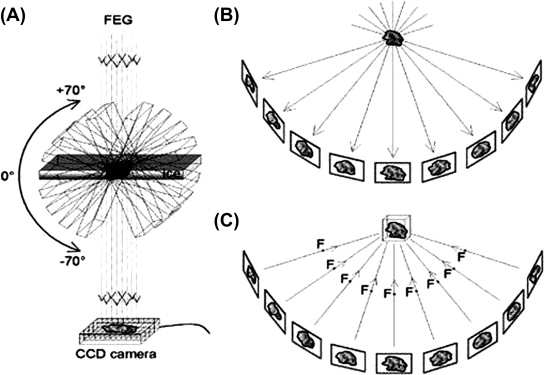 Krioelektrontomográfia (Cryo-ET)