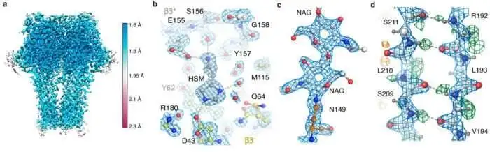 Nagy felbontású Cryo-Em